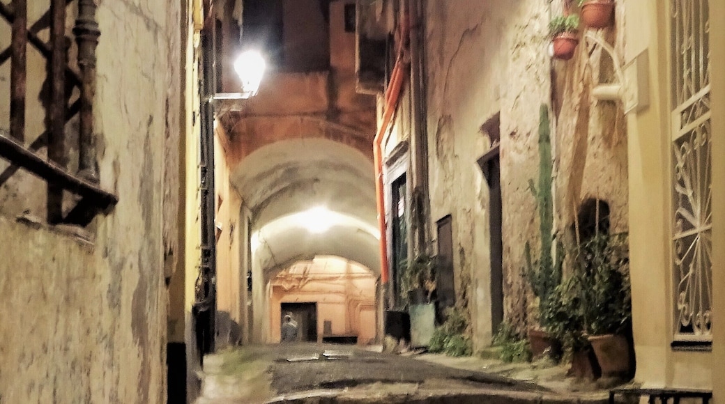 In the labyrinth of alleys of La Pigna (or Città Vecchia) you make a journey through the centuries. The old town was founded as a stronghold around the year 1000 and it was enlarged and strengthened up to the 16th century to protect it from pirates’ attacks.