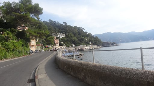 August 2016 in Santa Margherita Ligure. Punta Pedale.