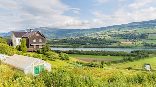 Traditional farmhouse and garden in Sorr-Fron municipality in Gudbrandsdal in Oppland county, Norway