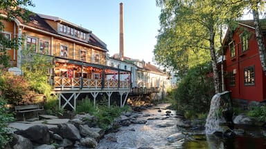 ville de Lillehammer en Norvège en saison estivale