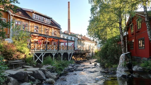 ville de Lillehammer en Norvège en saison estivale