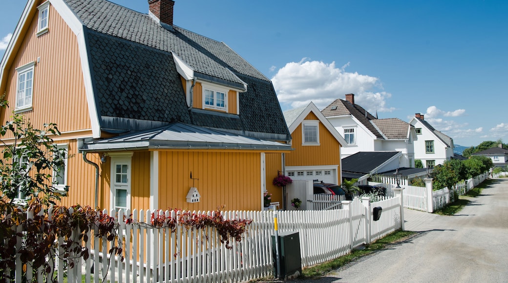 beautiful living houses in Lillehammer, Oppland, Norway