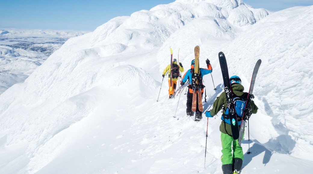 Un grupo de esquiadores subiendo una montaña nevada bajo un cielo despejado.