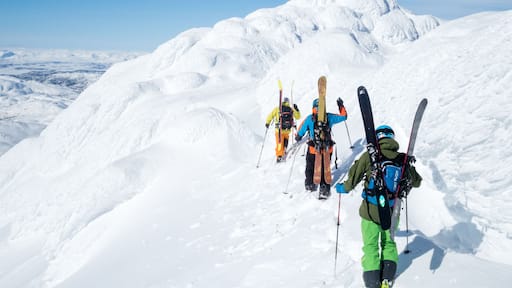 Un gruppo di sciatori sale una montagna innevata sotto un cielo sereno.