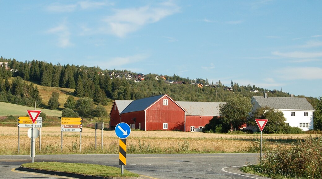 Levanger