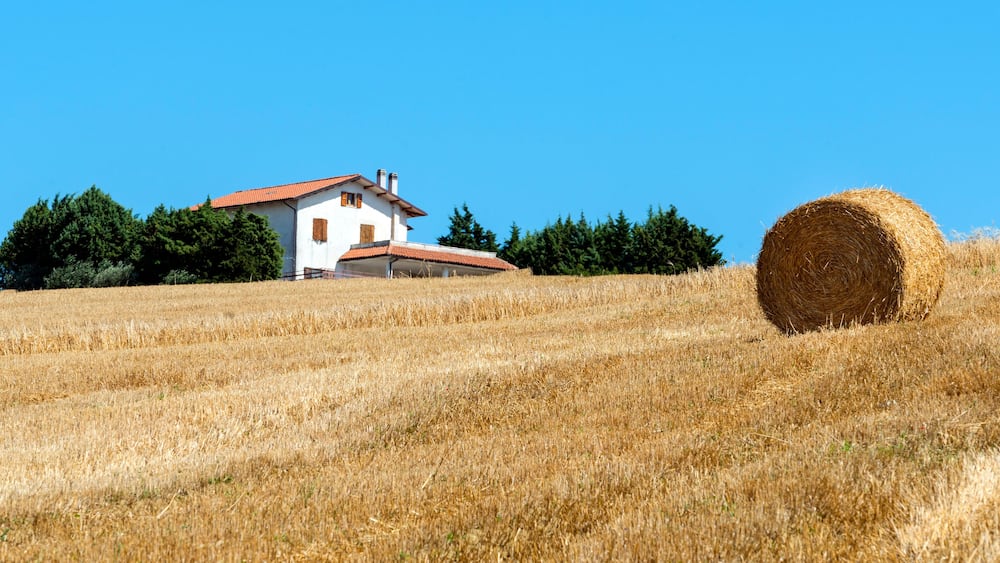 Summer landscape in Marches (Italy)