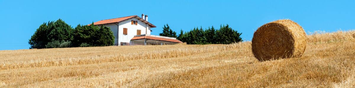 Summer landscape in Marches (Italy)