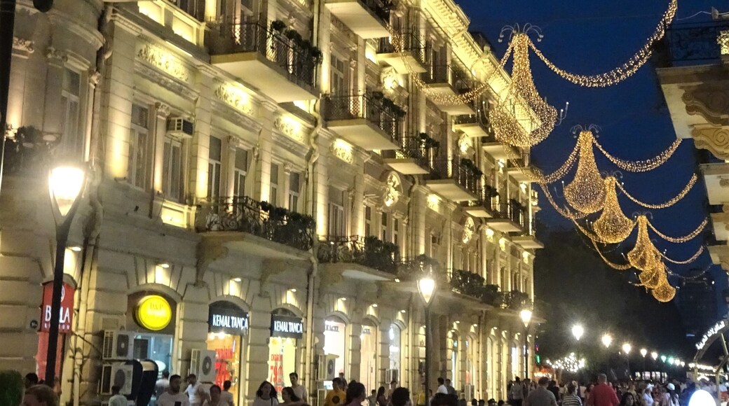 Nizami street is one of the main (shopping) streets in Baku. #Azerbaijan #TroveOnTuesday