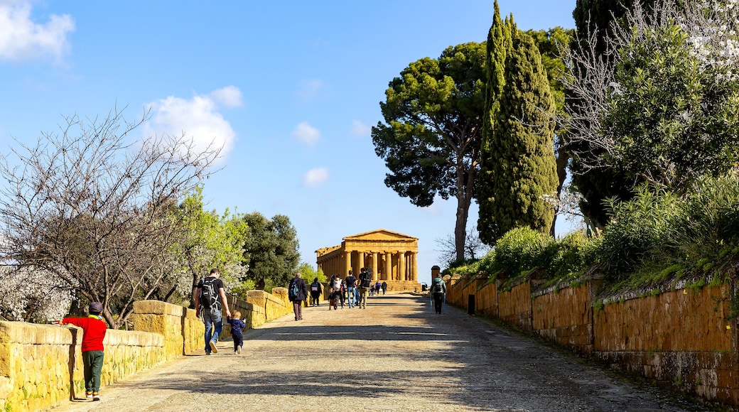 Un sitio histórico con antiguas columnas, un camino empedrado y visitantes.