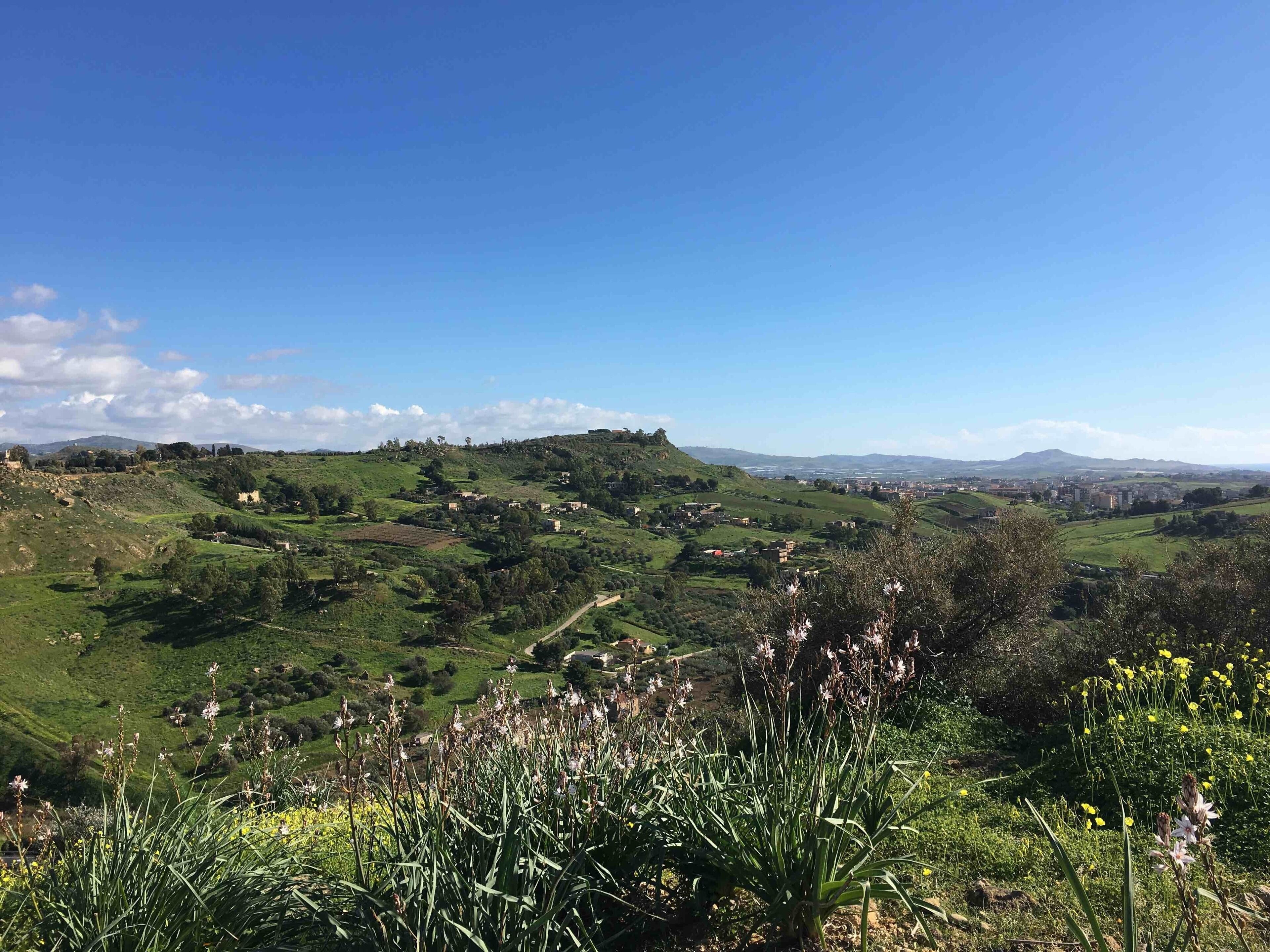 1/19/19, Vally of the Temples, Agrigento, Sicily, Italy
