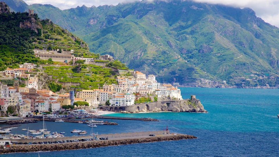 A coastal town with buildings on a hillside, a harbor with boats, and mountains in the background.