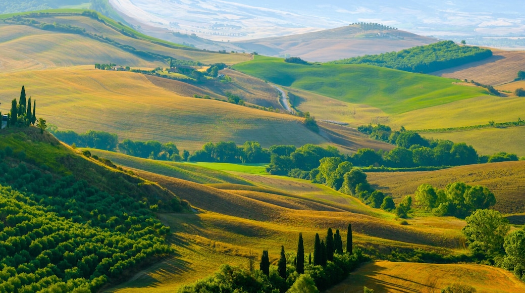 Rolling hills, a castle, and vineyards.