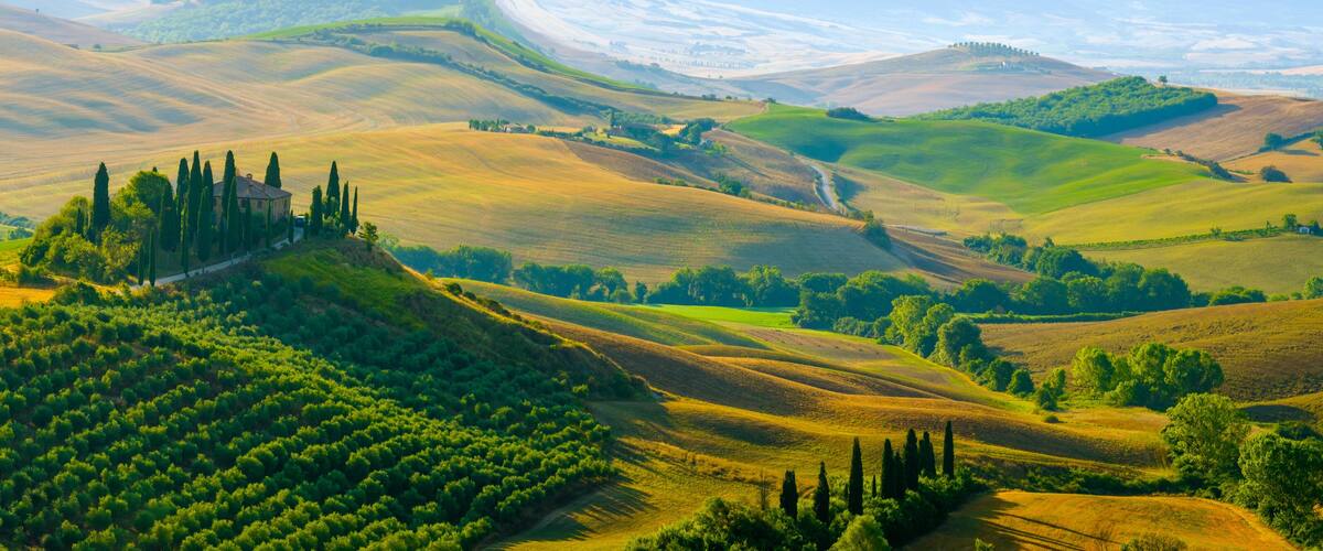 Rolling hills, a castle, and vineyards.