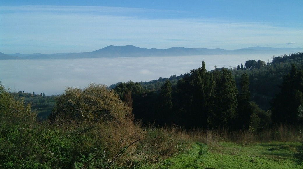 Da Villamagna Firenze