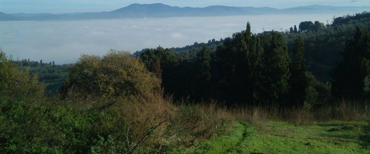 A mountainous landscape with a valley, forested hills, and a distant fog-covered mountain range.