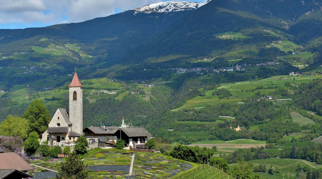 This media shows the cultural heritage monument with the number 14302 in South Tyrol.