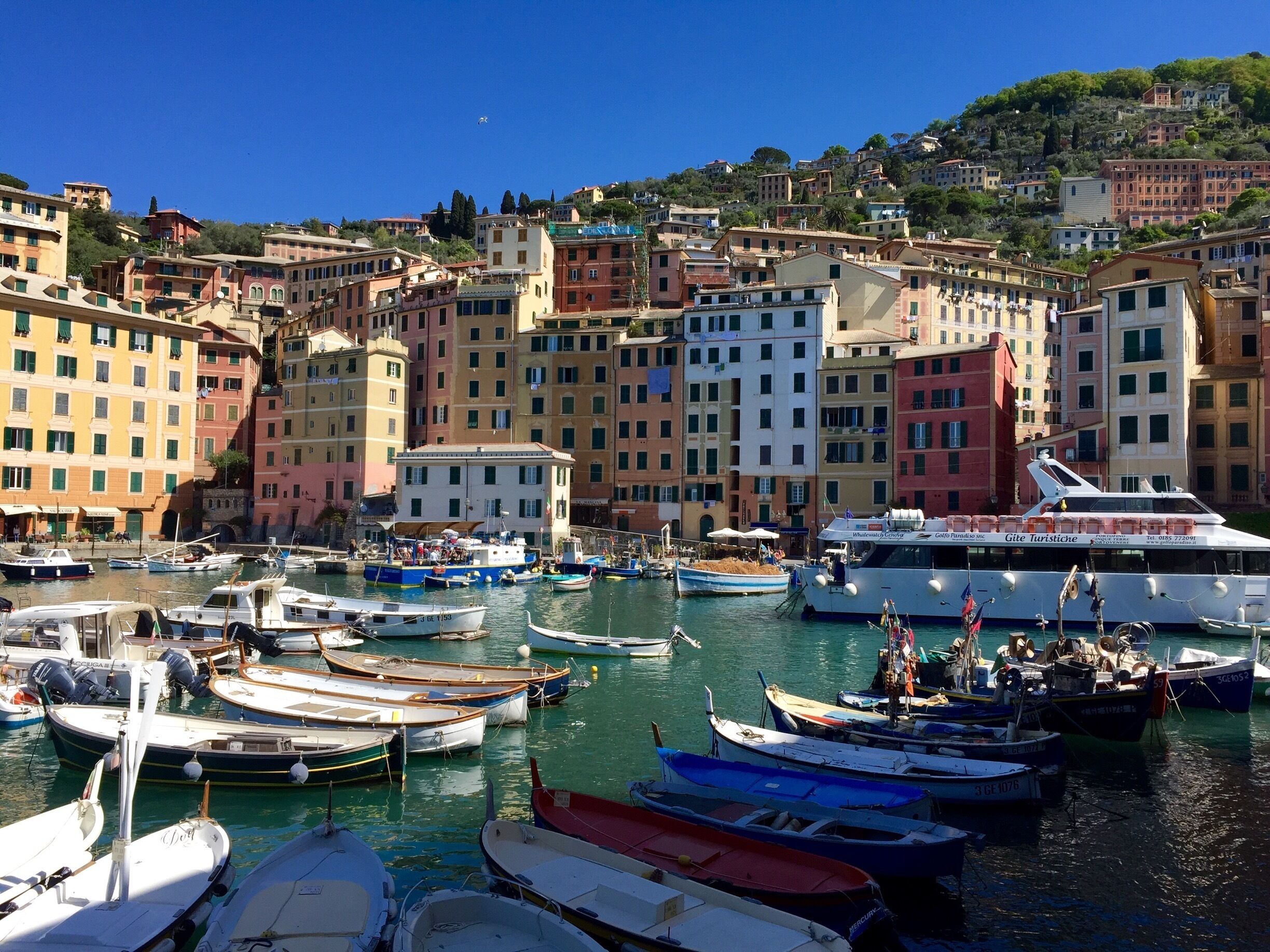 Bella Camogli
April 2016