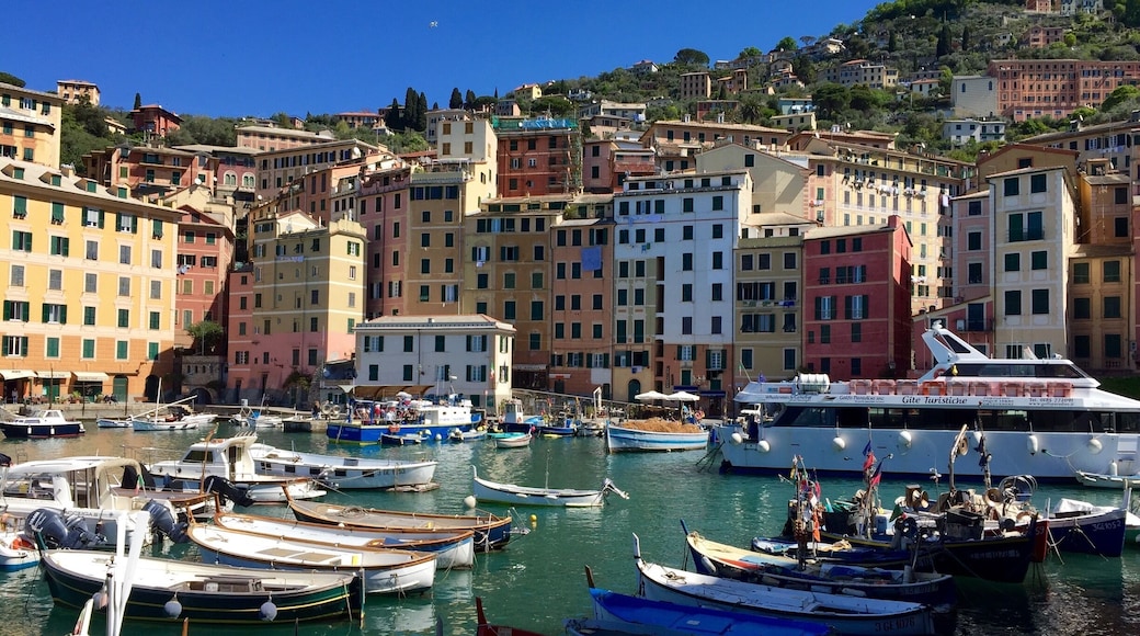 Bella Camogli
April 2016