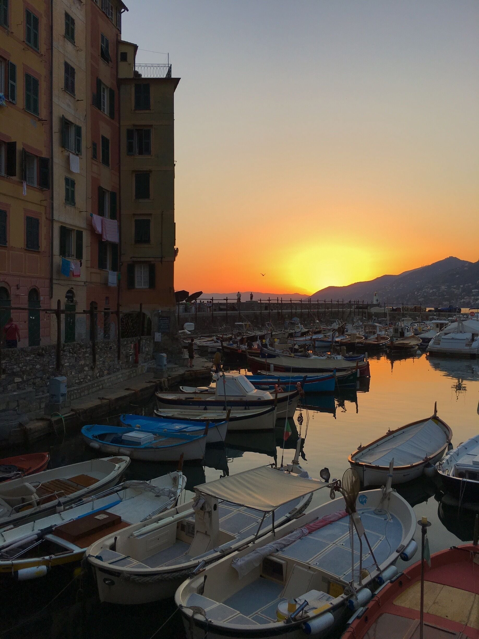 A marina with boats docked at sunset, buildings in the background, and a clear sky.