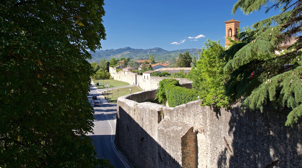 Citta di Castello showing landscape views