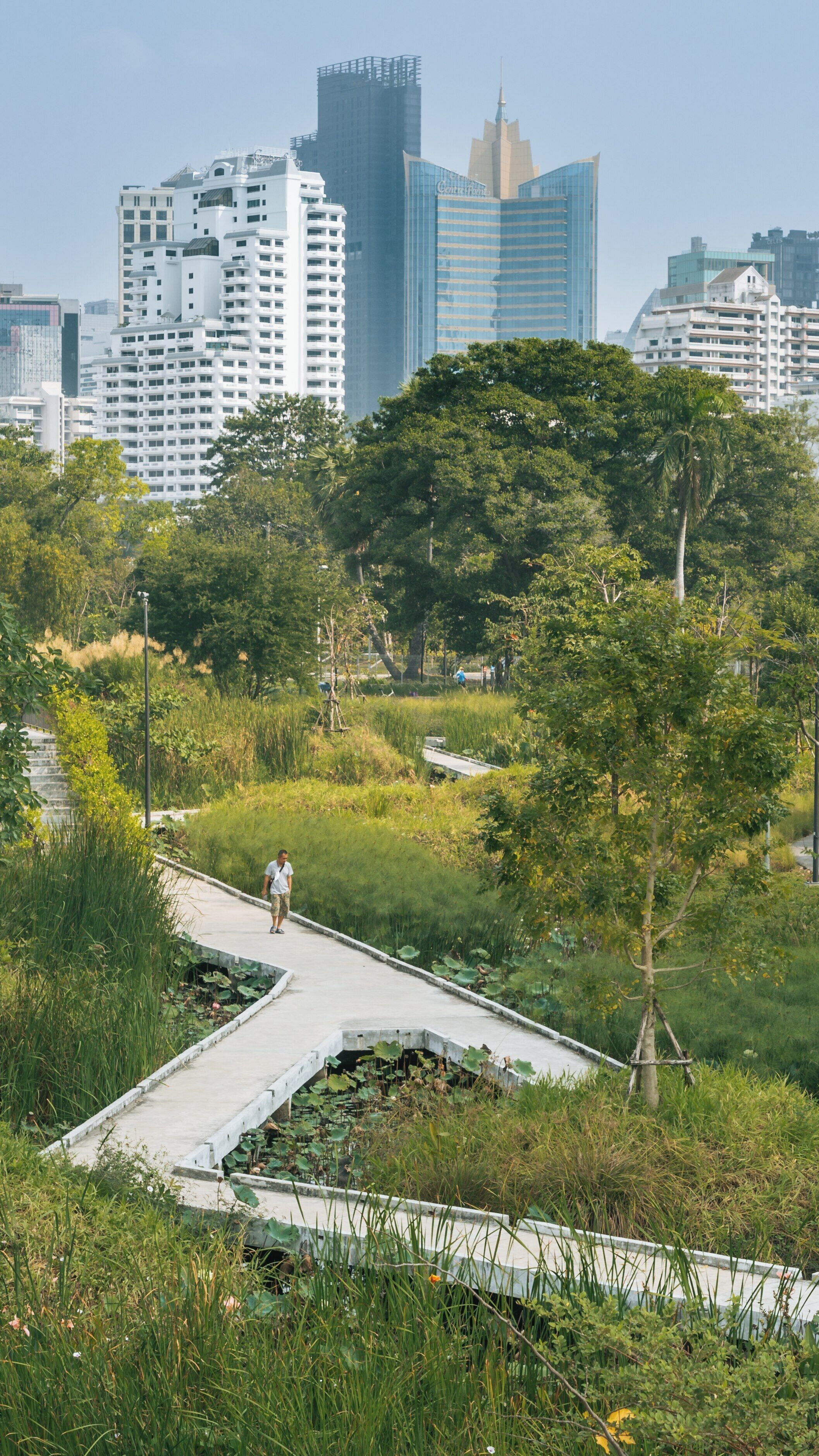 Lush greenery and urban skyline at Benjakitti Park in Khlong Toei, Bangkok during a sunny day