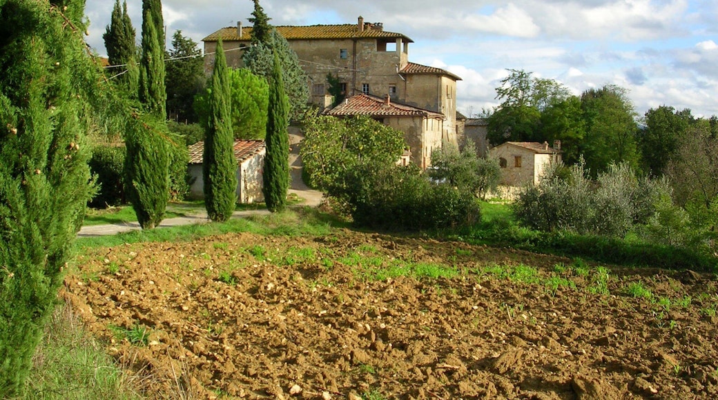 Photos of Montegabbro, village of Colle di Val d'Elsa in the province of Siena, taken by road to town
