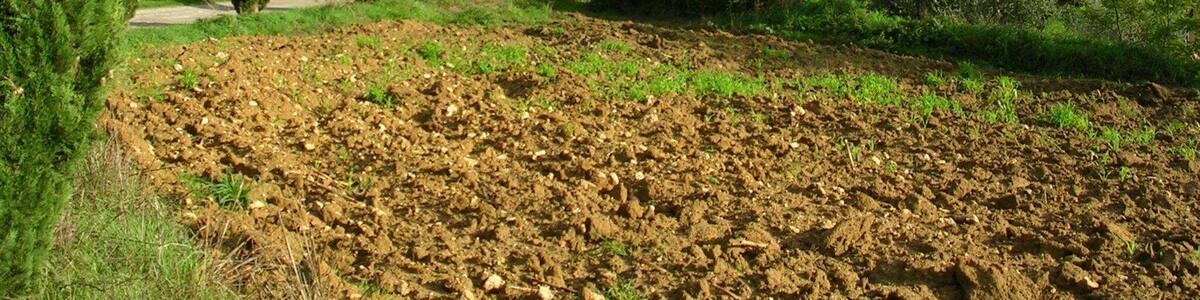 Photos of Montegabbro, village of Colle di Val d'Elsa in the province of Siena, taken by road to town