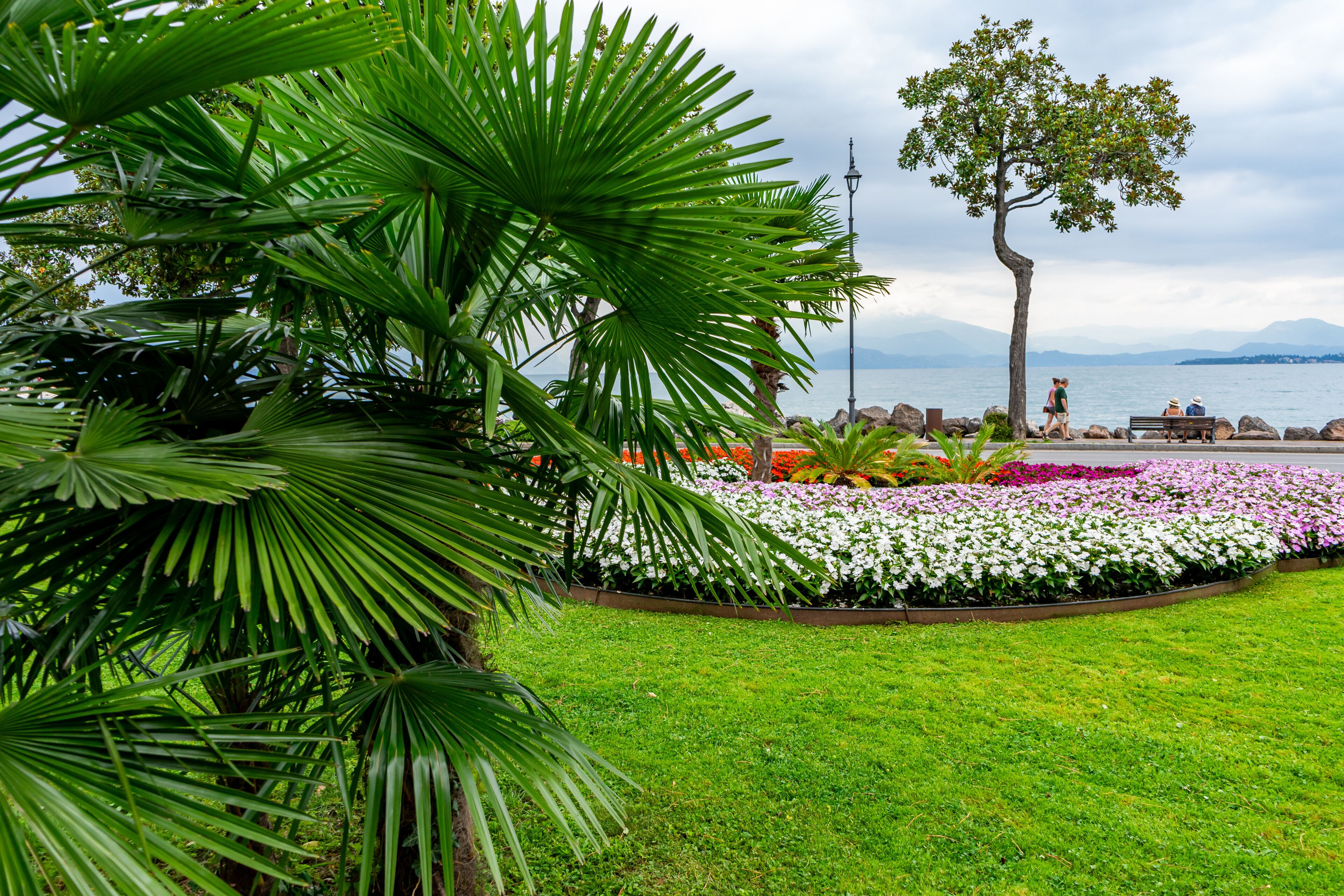 Um parque com grama verde, um canteiro de flores brancas e cor-de-rosa, uma árvore e um banco perto da água.