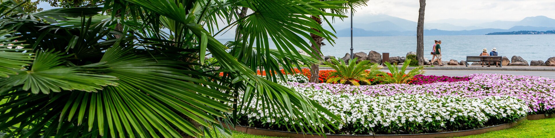 Um parque com grama verde, um canteiro de flores brancas e cor-de-rosa, uma árvore e um banco perto da água.