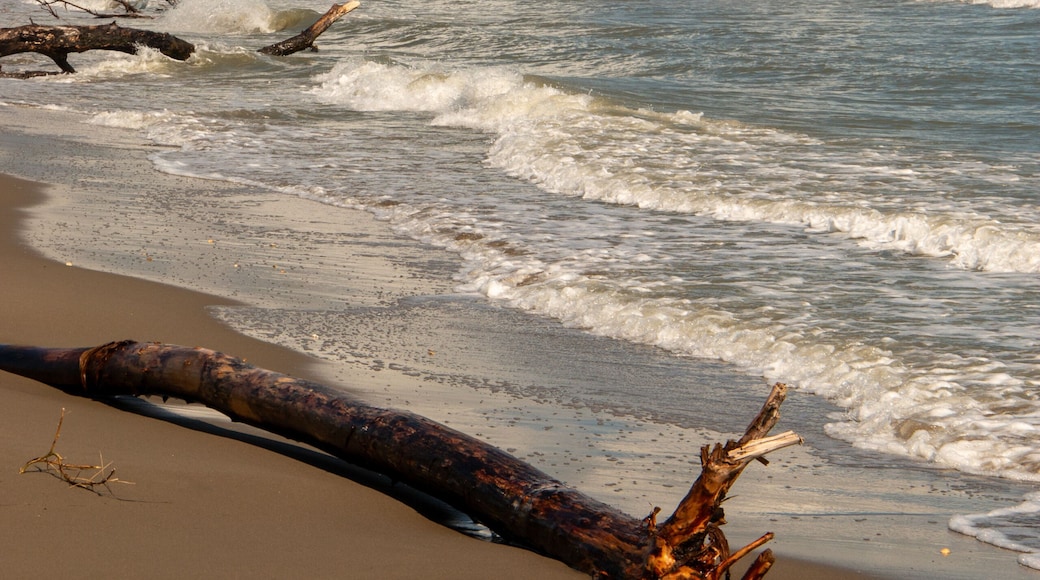 Lidi di Comacchio Adriatic Sea beach and regional park Po Delta storm in summer