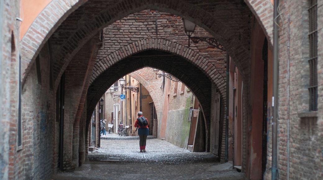 Love at first sight!
It's been a while since Palermo. It's been a while since Eger. Apparently, though, I still got it. :-)
P.S. More on Ferrara's charm (link in Romanian)--
https://bit.ly/3bEgDdL