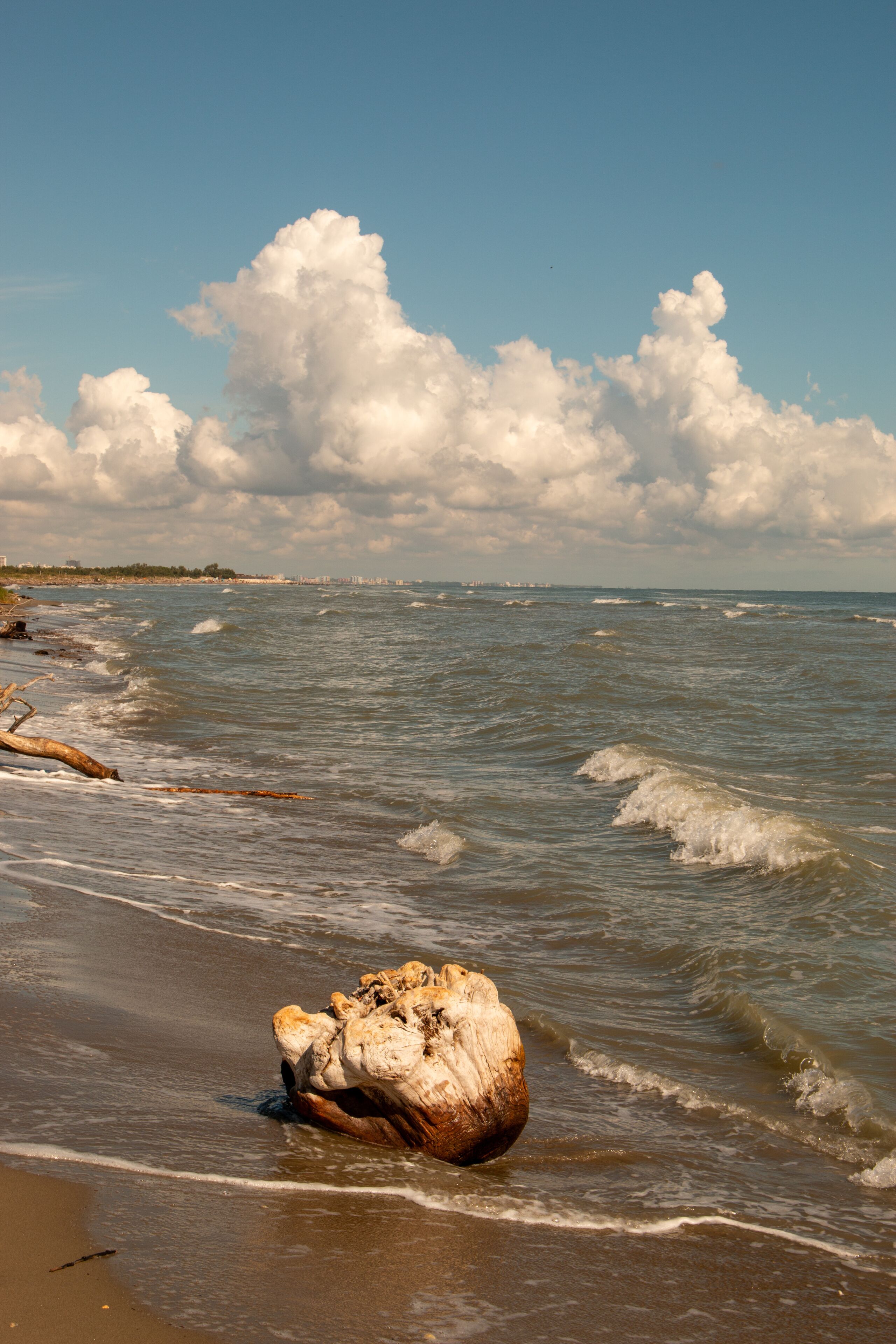 Lidi di Comacchio Adriatic Sea beach and regional park Po Delta storm in summer
