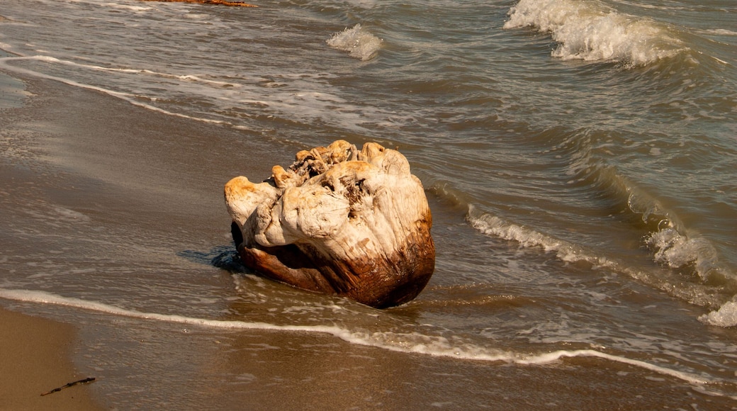 Lidi di Comacchio Adriatic Sea beach and regional park Po Delta storm in summer