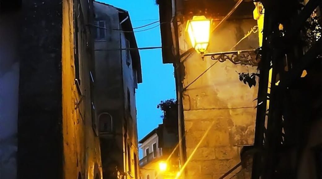 Bella Italia in color. Fiuggi evening....only dog...