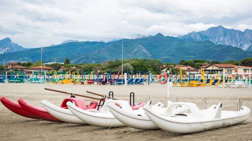 ํฌ๋ฅดํ
๋ฐ์ด ๋ง๋ฅด๋ฏธ