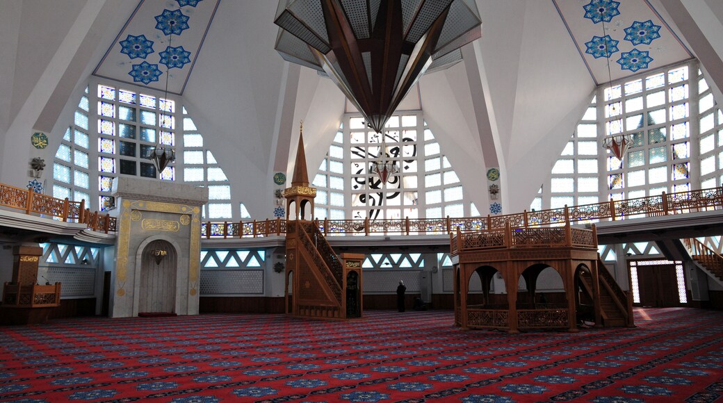Mekez Mosque, located in Akcakoca, Duzce, Turkey, is a modern and large mosque.