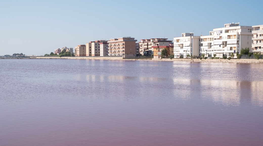 The pink salt flats at Margherita Di Savoia in Puglia, Italy. The water is coloured pink because of crustaceans that live in it.