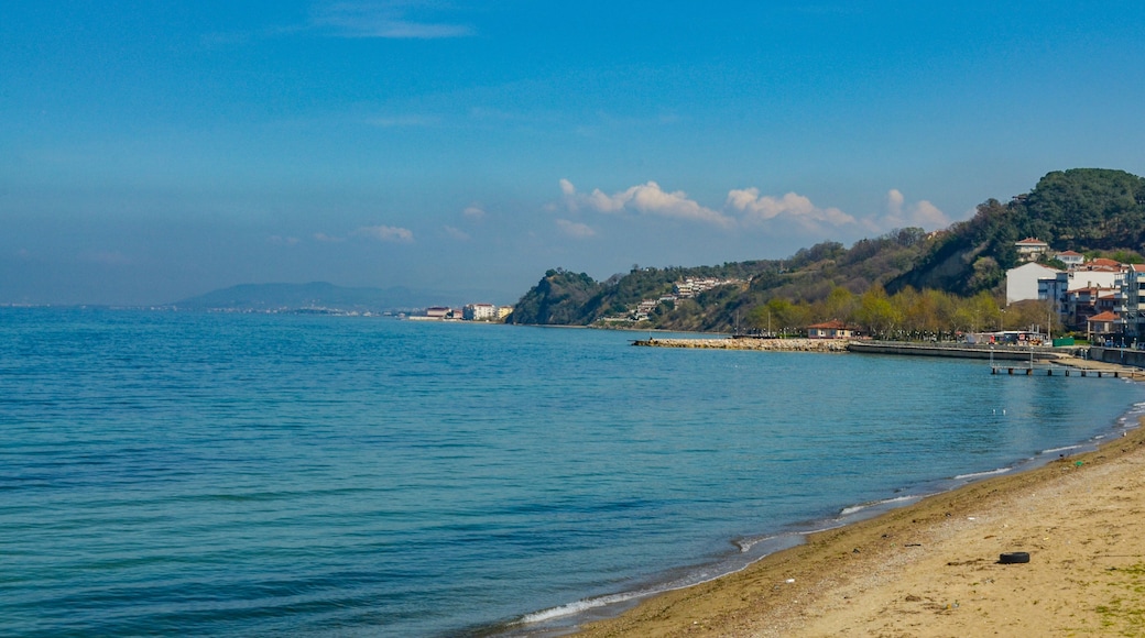 Marmara sea coast in Koru (Yalova province, Turkiye)