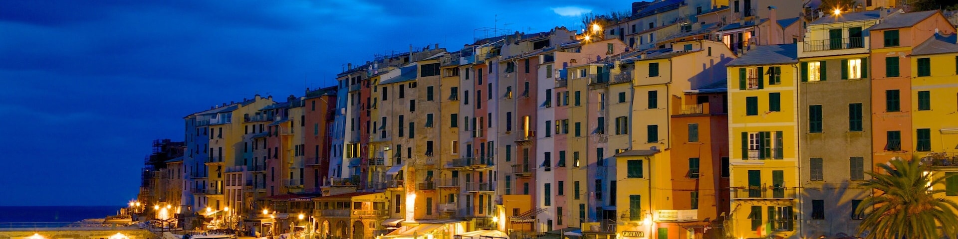 Cinque Terre featuring a coastal town, a marina and night scenes