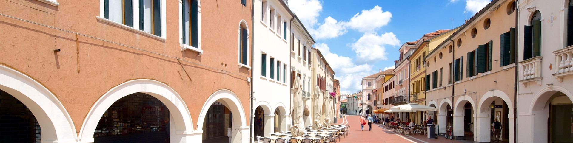 Mestre which includes street scenes