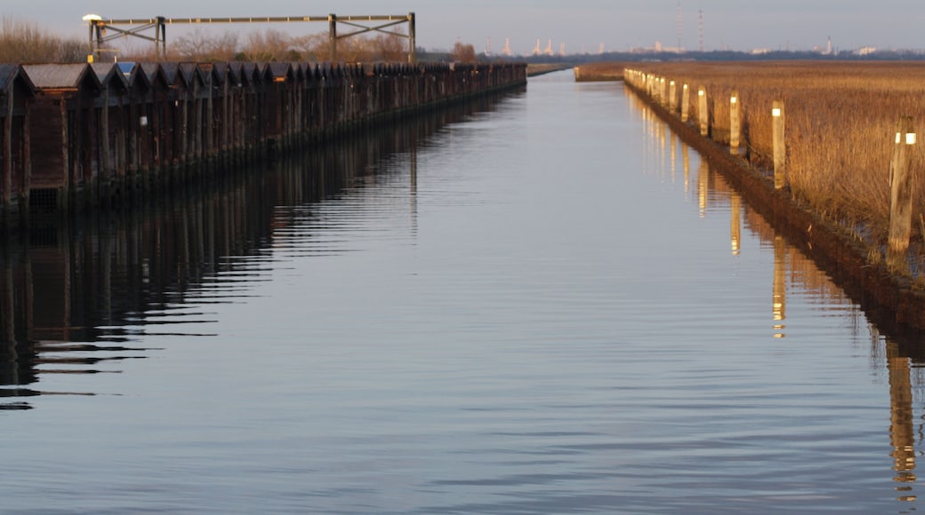 Giare di Mira, Venezia