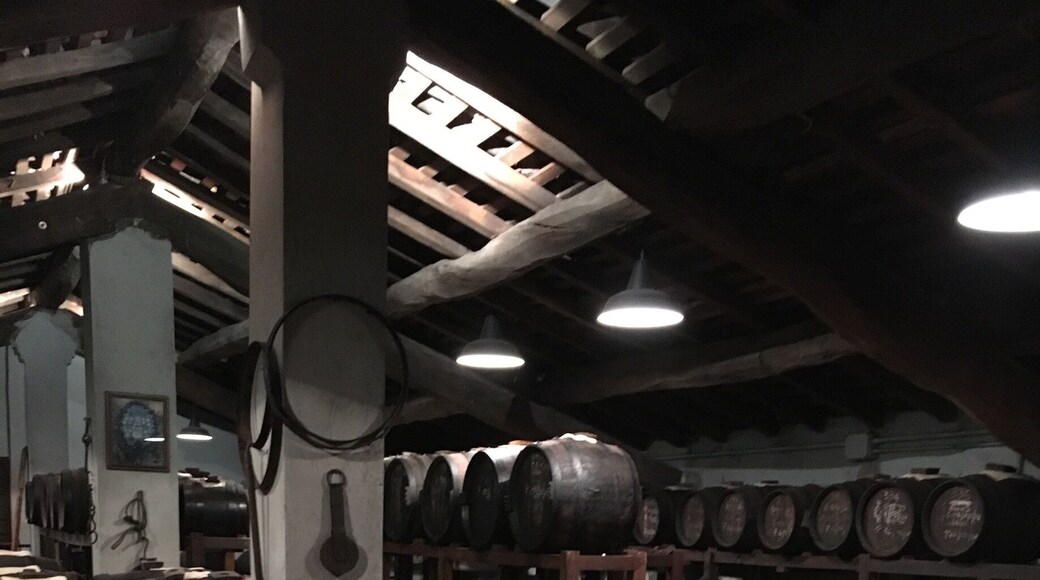 Balsamic vinegar ageing in the barrels in one of oldest producers in Modena.
#merch