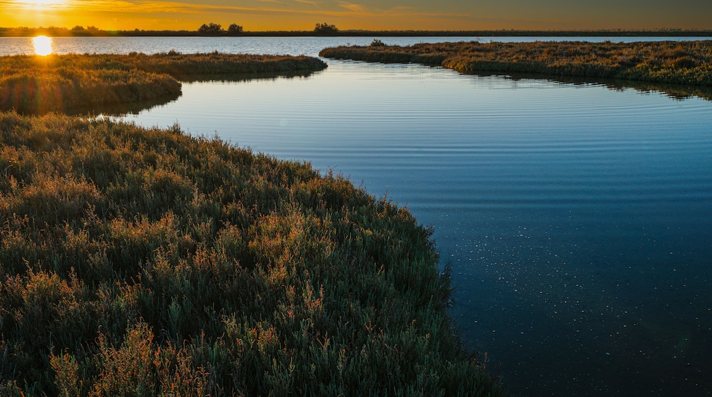 sunset over the lagoon, Po river delta, Comacchio, Ferrara, Italy