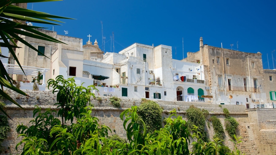 Monopoli featuring a coastal town