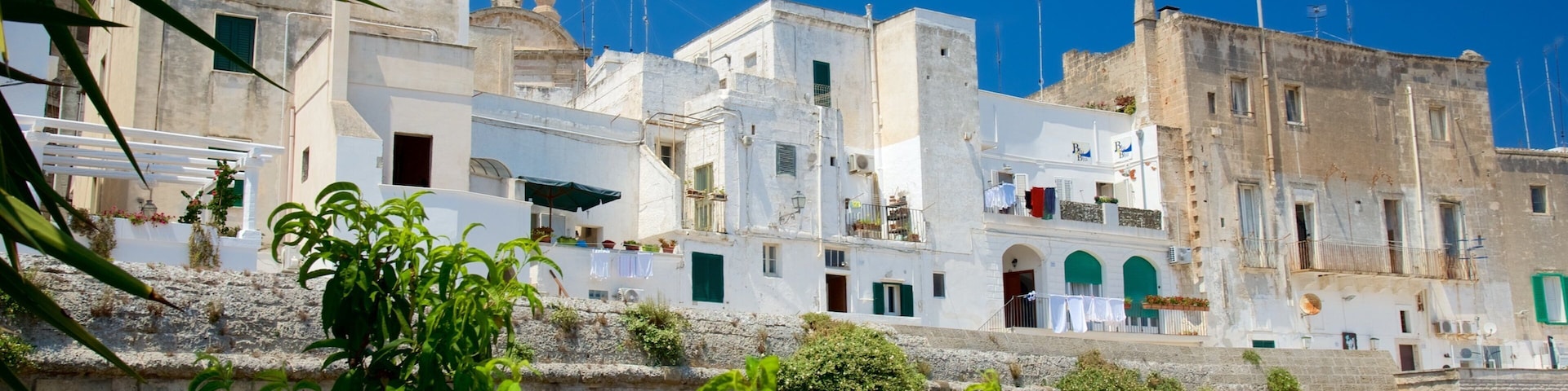 A coastal village with white buildings, a stone wall, and lush greenery.