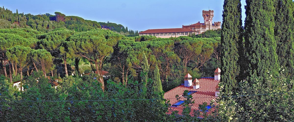 A castle on a hill with a red-roofed building in the foreground.