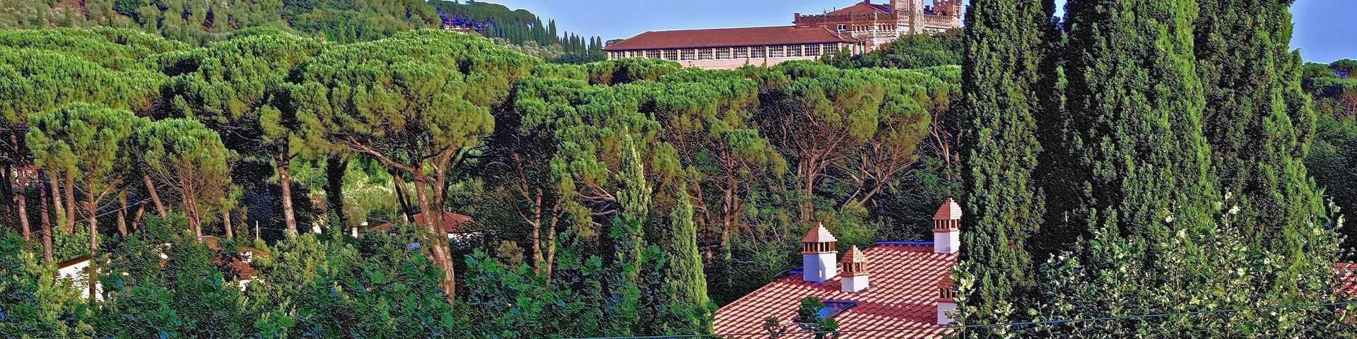 A castle on a hill with a red-roofed building in the foreground.