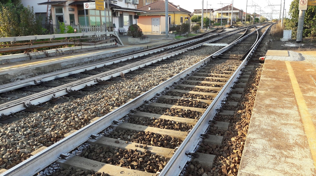 I deviatoi in uscita dalla stazione lato nord. Da essi si diramano le linee per Varallo Sesia (a sinistra), Domodossola (al centro) e Arona (a destra).