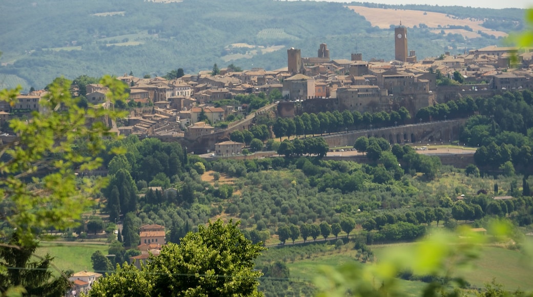 Orvieto welches beinhaltet Stadt und Farmland