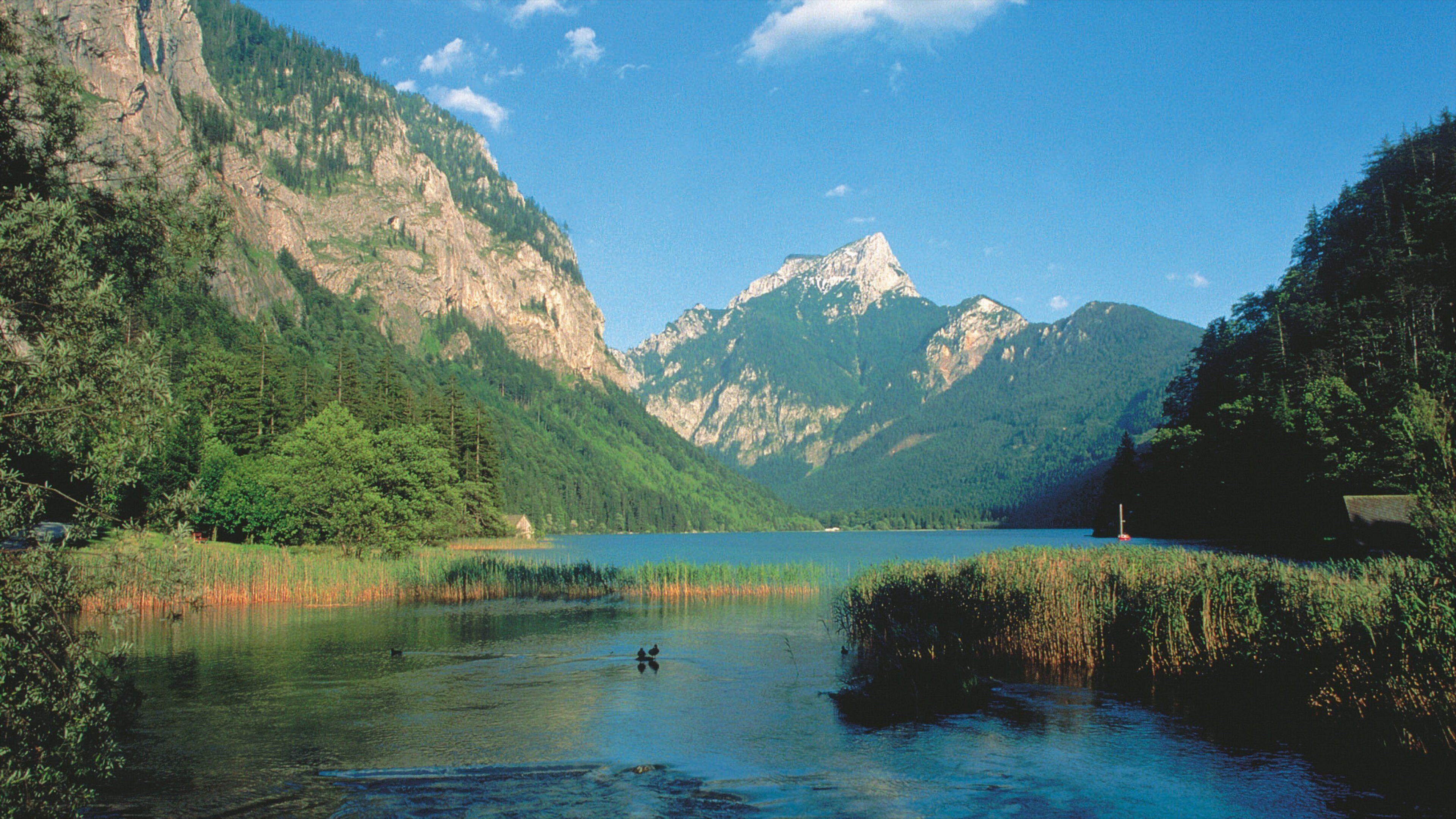 A lake surrounded by mountains and dense forests.